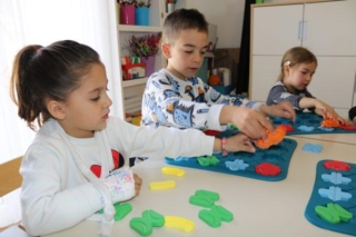 LogickiGraditeljiDvPcelica1(11)