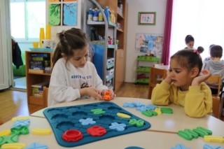 LogickiGraditeljiDvPcelica1(15)