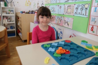 LogickiGraditeljiDvPcelica1(3)