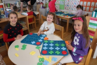 LogickiGraditeljiDvPcelica1(8)