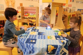 RoboPceliceMetkovic02VedriDani(6)