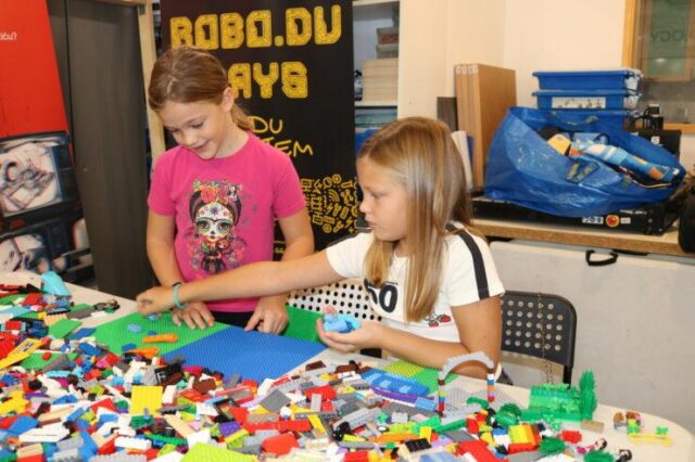 StemLjetoZtkLegoIgraonica2(48)