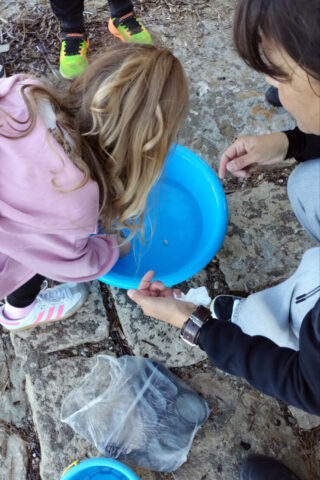 MoreBojaOptikaPsCilipi(6)